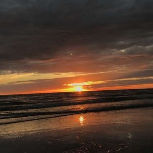 Meet your Posher, Sophia